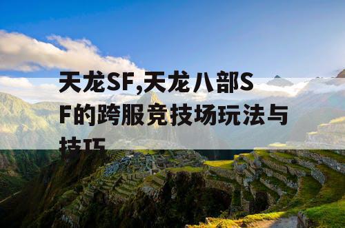 天龙SF,天龙八部SF的跨服竞技场玩法与技巧