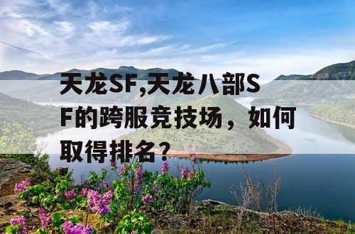 天龙SF,天龙八部SF的跨服竞技场，如何取得排名？