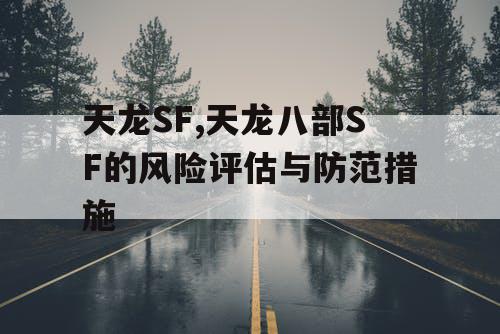 天龙SF,天龙八部SF的风险评估与防范措施