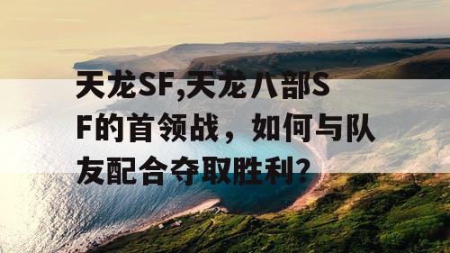 天龙SF,天龙八部SF的首领战，如何与队友配合夺取胜利？