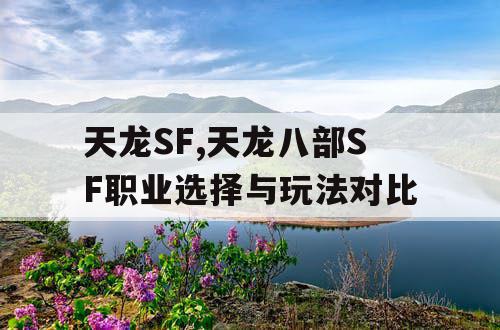 天龙SF,天龙八部SF职业选择与玩法对比
