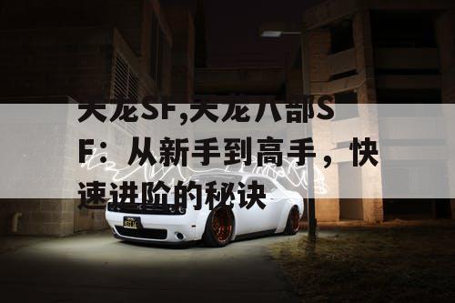 天龙SF,天龙八部SF：从新手到高手，快速进阶的秘诀