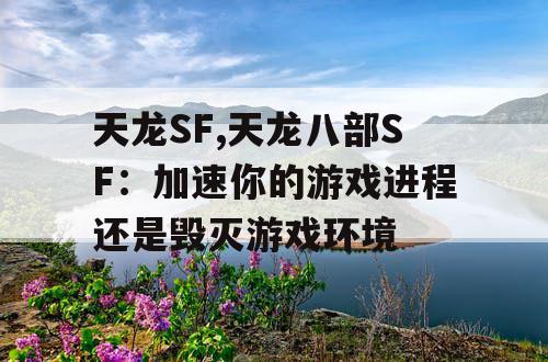 天龙SF,天龙八部SF：加速你的游戏进程还是毁灭游戏环境