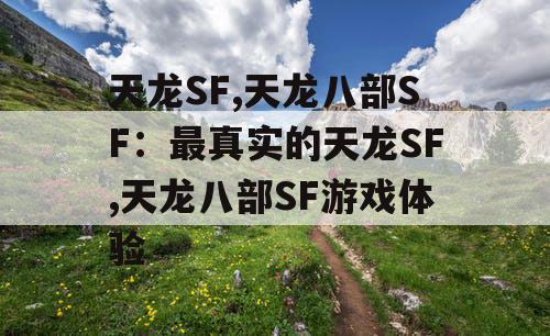 天龙SF,天龙八部SF：最真实的天龙SF,天龙八部SF游戏体验