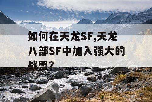 如何在天龙SF,天龙八部SF中加入强大的战盟？