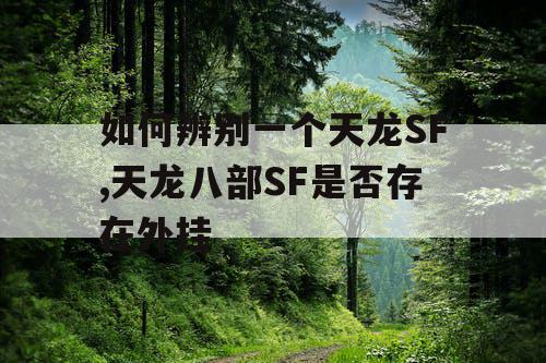 如何辨别一个天龙SF,天龙八部SF是否存在外挂