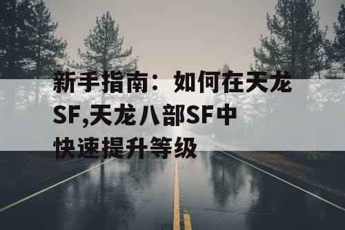 新手指南：如何在天龙SF,天龙八部SF中快速提升等级