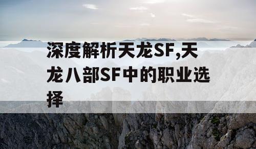 深度解析天龙SF,天龙八部SF中的职业选择