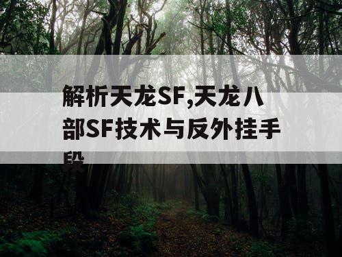 解析天龙SF,天龙八部SF技术与反外挂手段