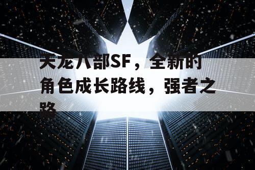 天龙八部SF，全新的角色成长路线，强者之路