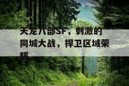 天龙八部SF,刺激的同城大战,捍卫区域荣耀 天龙八部SF,刺激的同城大战,捍卫区域荣耀
