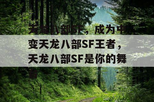天龙八部SF，成为中变天龙八部SF王者，天龙八部SF是你的舞台