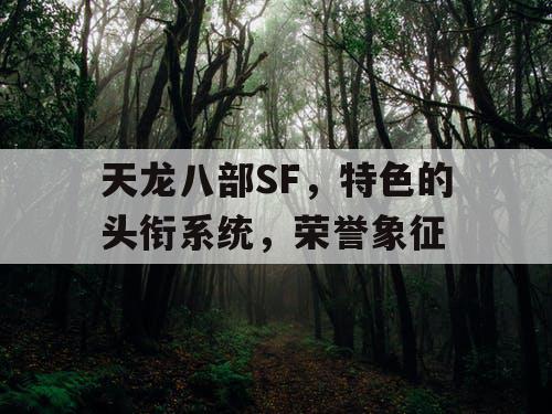 天龙八部SF,特色的头衔系统,荣誉象征 天龙八部SF,特色的头衔系统,荣誉象征