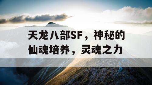 天龙八部SF，神秘的仙魂培养，灵魂之力