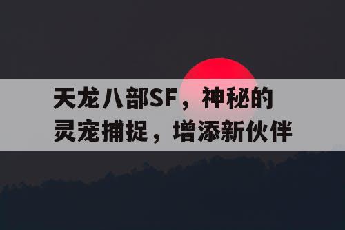天龙八部SF，神秘的灵宠捕捉，增添新伙伴