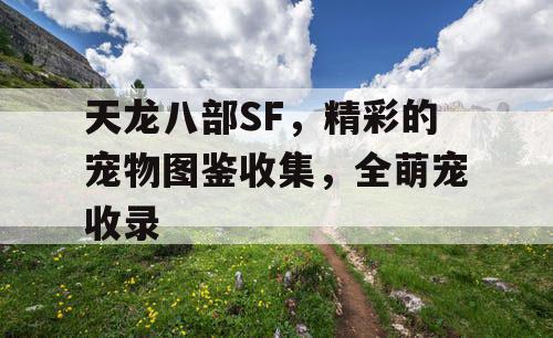 天龙八部SF，精彩的宠物图鉴收集，全萌宠收录