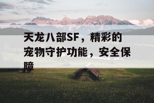 天龙八部SF，精彩的宠物守护功能，安全保障