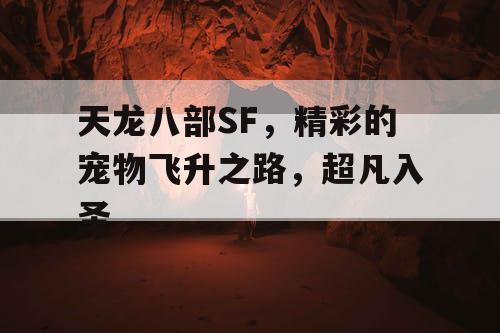 天龙八部SF，精彩的宠物飞升之路，超凡入圣