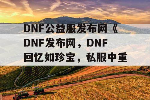 DNF公益服发布网《DNF发布网，DNF回忆如珍宝，私服中重寻》