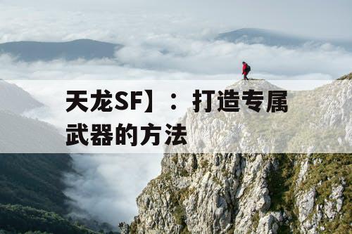 天龙SF】：打造专属武器的方法