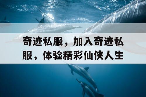 奇迹私服，加入奇迹私服，体验精彩仙侠人生