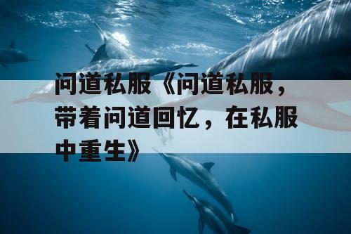 问道私服《问道私服，带着问道回忆，在私服中重生》
