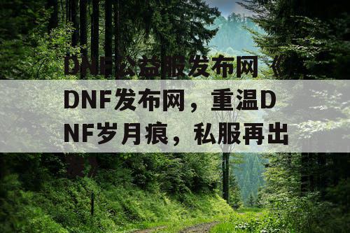DNF公益服发布网《DNF发布网，重温DNF岁月痕，私服再出发》