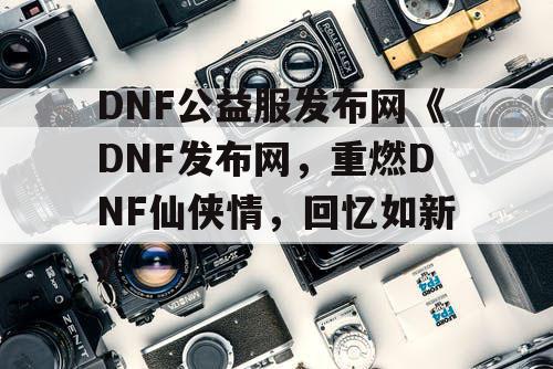 DNF公益服发布网《DNF发布网，重燃DNF仙侠情，回忆如新》
