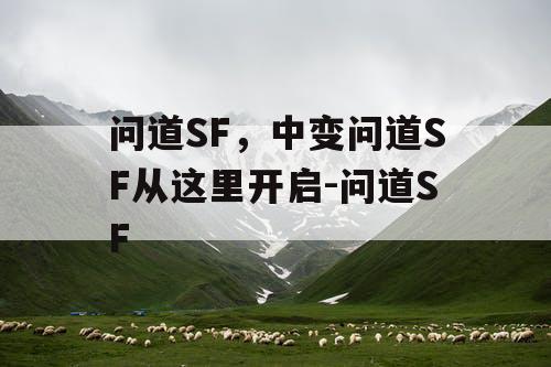 问道SF，中变问道SF从这里开启-问道SF