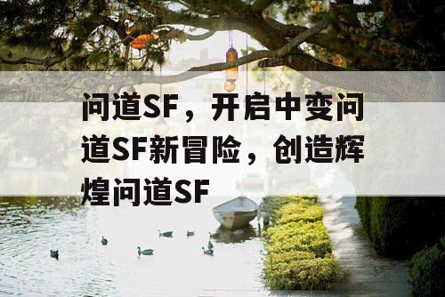 问道SF，开启中变问道SF新冒险，创造辉煌问道SF