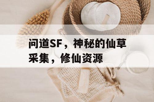 问道SF，神秘的仙草采集，修仙资源