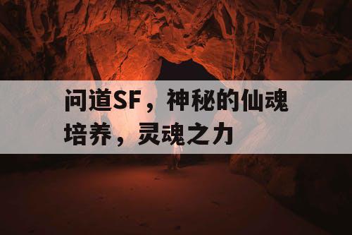 问道SF,神秘的仙魂培养,灵魂之力 问道SF,神秘的仙魂培养,灵魂之力