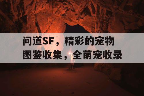 问道SF，精彩的宠物图鉴收集，全萌宠收录