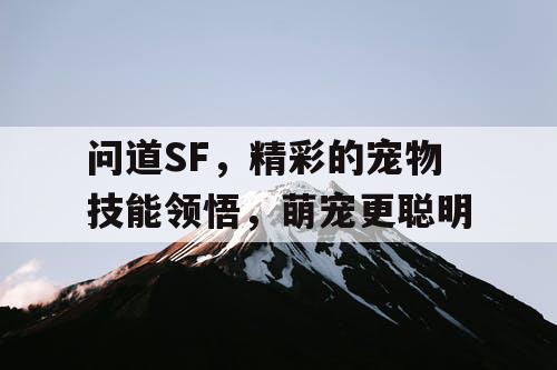 问道SF，精彩的宠物技能领悟，萌宠更聪明