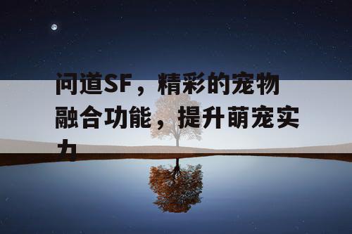 问道SF,精彩的宠物融合功能,提升萌宠实力 问道SF,精彩的宠物融合功能,提升萌宠实力