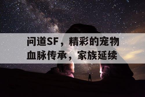 问道SF，精彩的宠物血脉传承，家族延续