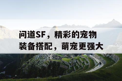 问道SF，精彩的宠物装备搭配，萌宠更强大