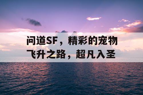 问道SF，精彩的宠物飞升之路，超凡入圣