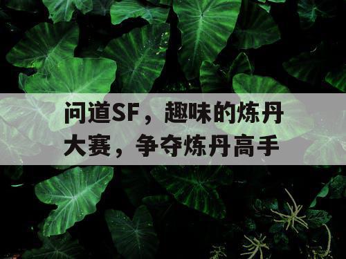 问道SF,趣味的炼丹大赛,争夺炼丹高手 问道SF,趣味的炼丹大赛,争夺炼丹高手