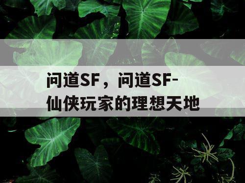 问道SF，问道SF-仙侠玩家的理想天地