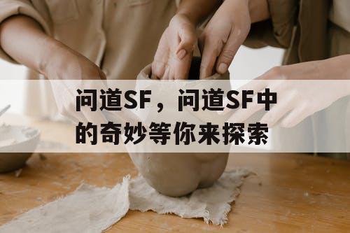 问道SF，问道SF中的奇妙等你来探索