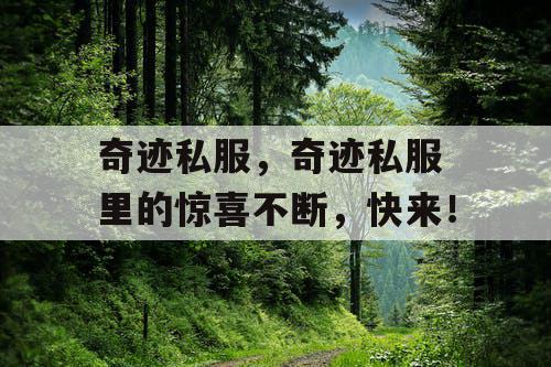 奇迹私服，奇迹私服 里的惊喜不断，快来！