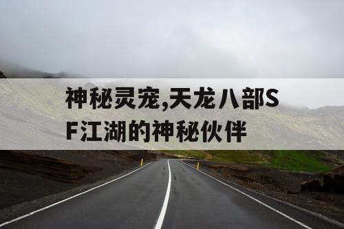 神秘灵宠,天龙八部SF江湖的神秘伙伴