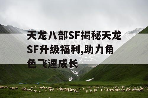 天龙八部SF揭秘天龙SF升级福利,助力角色飞速成长