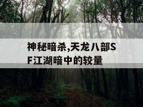神秘暗杀,天龙八部SF江湖暗中的较量