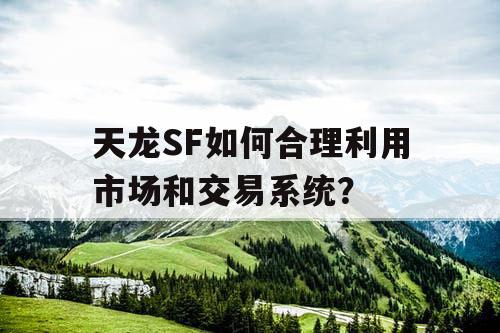 天龙SF如何合理利用市场和交易系统？
