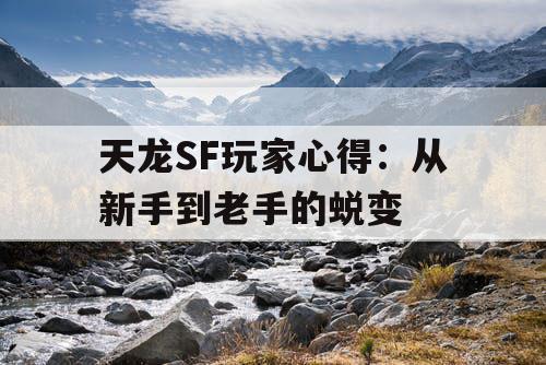 天龙SF玩家心得：从新手到老手的蜕变