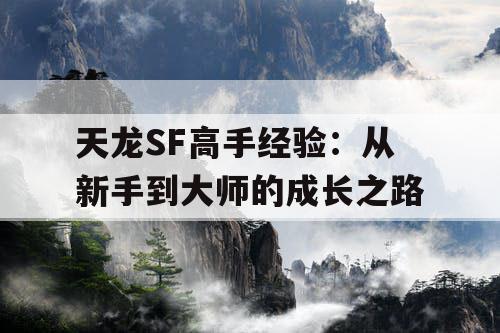 天龙SF高手经验：从新手到大师的成长之路