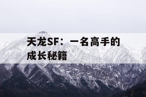 天龙SF：一名高手的成长秘籍