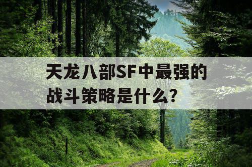 天龙八部SF中最强的战斗策略是什么？